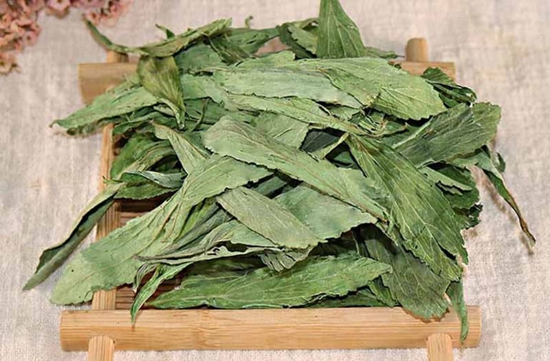 Tra-Co-Ngot-stevia-rebaudiana-Candyleaf-Tea-nong-san-cao-cap-viet-farm-food-093-8828-553-3