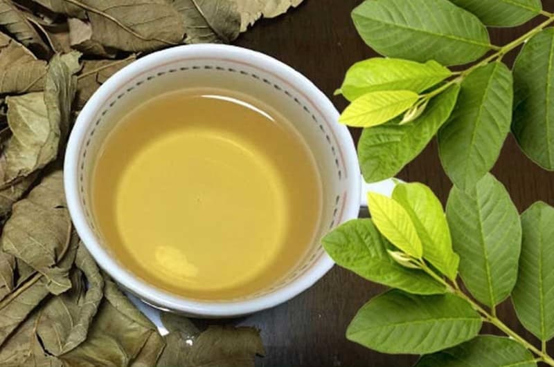 Tra-La-Oi-guava-leaves-tea-nong-san-cao-cap-viet-farm-food-093-8828-553-1