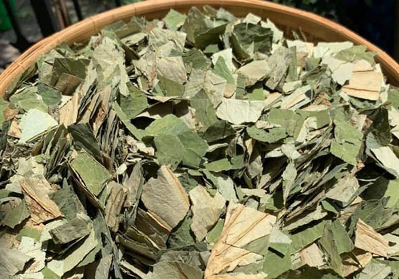 Tra-La-Sen-Lotus-Leaf-Tea-nong-san-cao-cap-viet-farm-food-093-8828-553