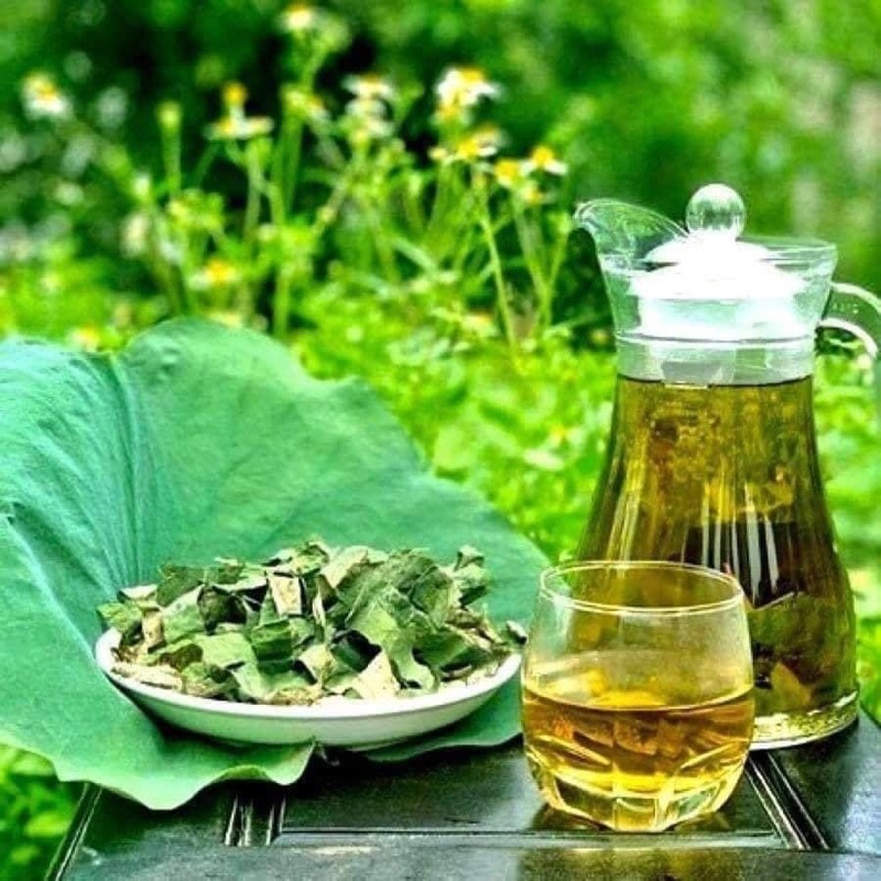 Tra-La-Sen-Lotus-Leaf-Tea-nong-san-cao-cap-viet-farm-food-093-8828-553-5