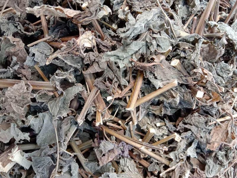 Tra-Tia-To-La-dried-shiso-beefsteak-plant-tea-nong-san-cao-cap-viet-farm-food-093-8828-553