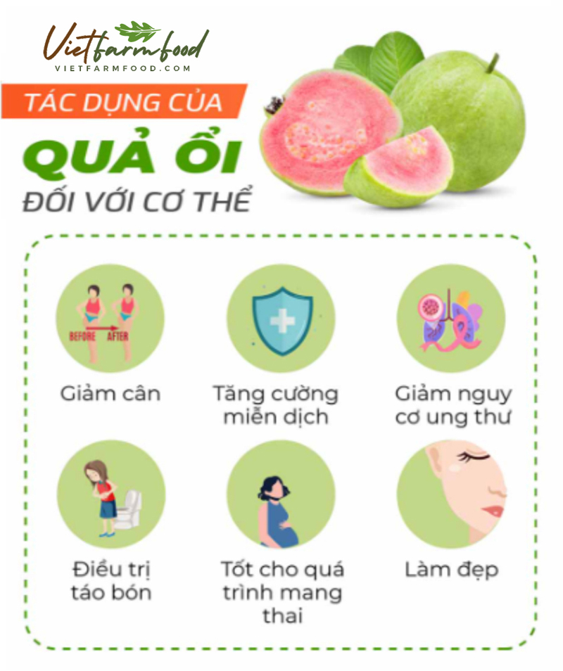 bot-oi-hong-guava-powder-say-lanh