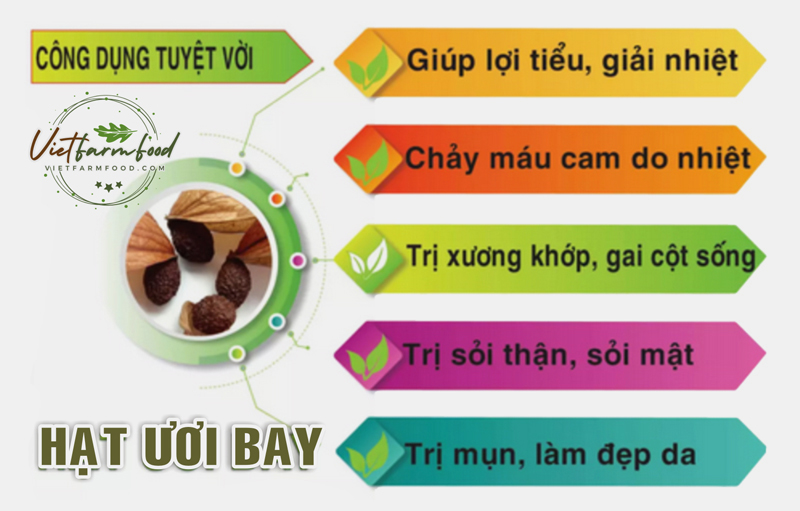 cong-dung-loi-ich-hat-duoi-uoi-bay-093-8828-553