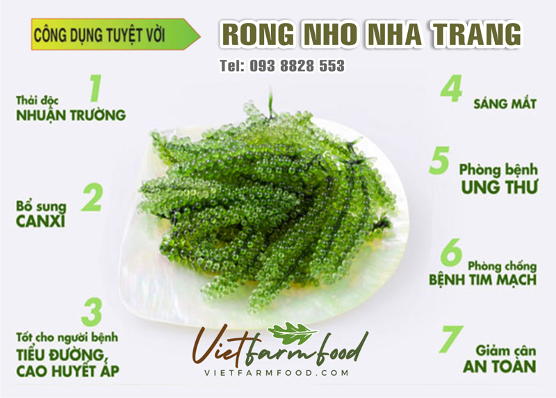 rong-tach-nuoc-say-kho-nha-trang-093-8828-553