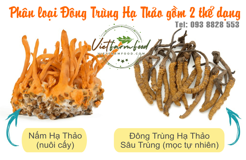 nam-dong-trung-ha-thao-sau-trung-kho-093-8828-553