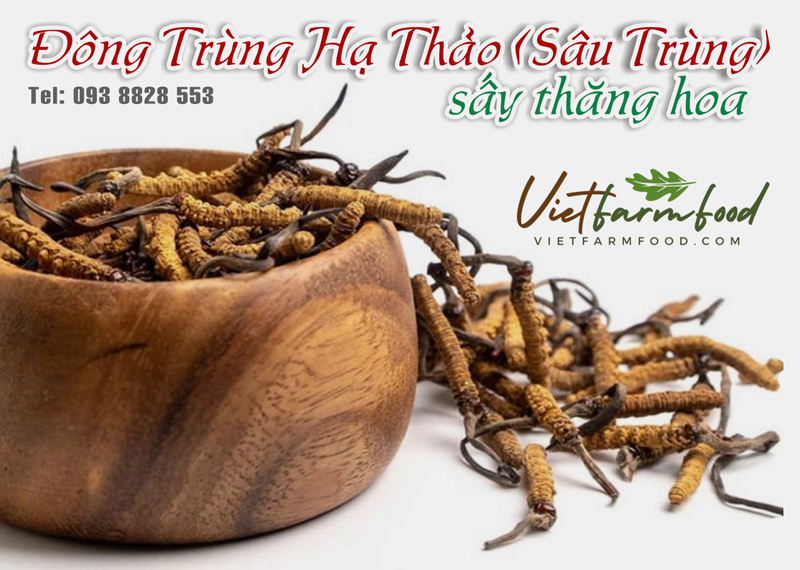 dong-trung-ha-thao-sau-trung-kho-093-8828-553