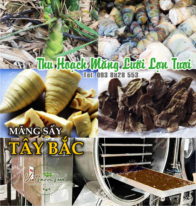 mang-luoi-lon-mam-cut-tay-bac-kho-093-8828-553