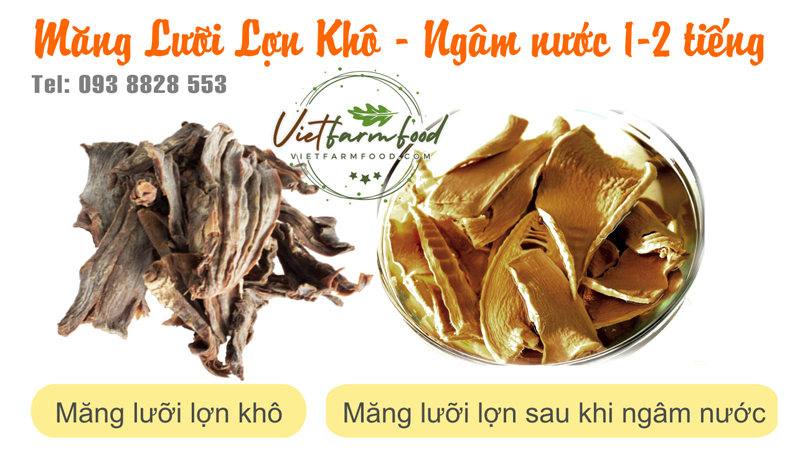 mang-luoi-lon-mam-cut-tay-bac-kho-093-8828-553