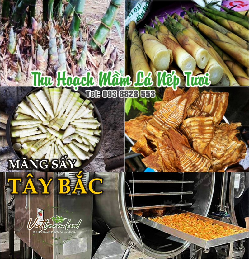 mang-mam-la-nep-tay-bac-kho-093-8828-553