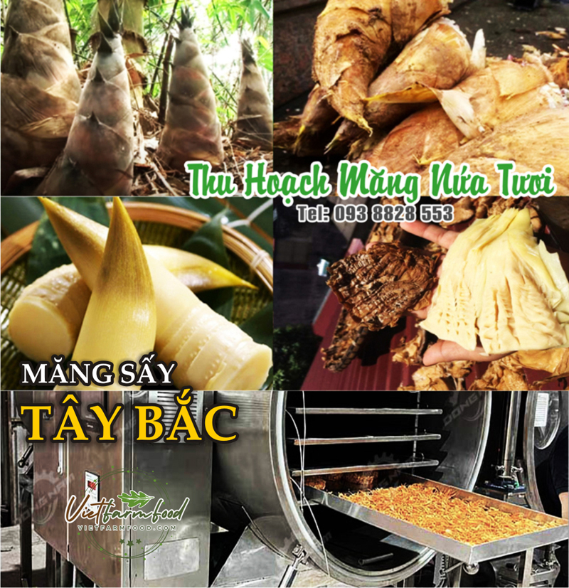 mang-nua-tay-bac-kho-093-8828-553