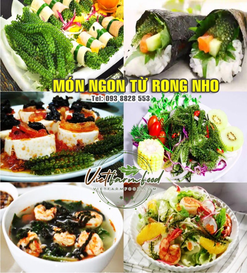 rong-tach-nuoc-say-kho-nha-trang-093-8828-553