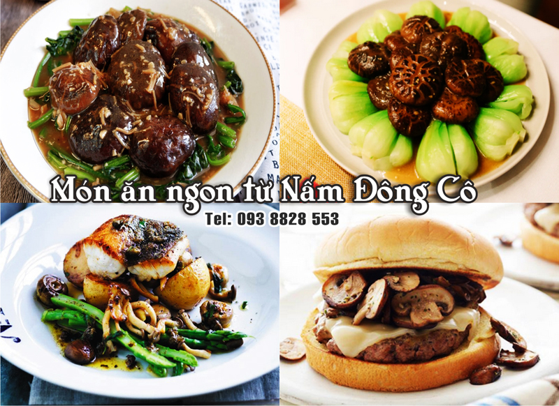 mon-ngon-tu-nam-dong-co-093-8828-553