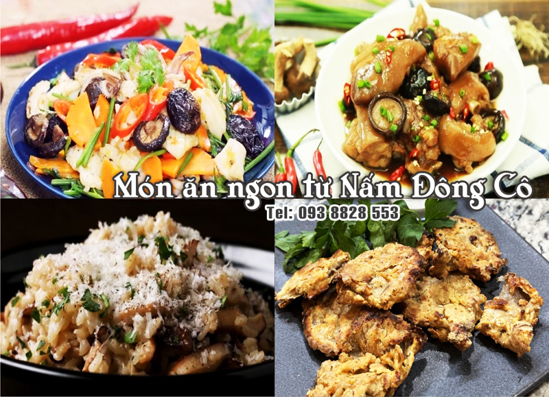 mon-ngon-tu-nam-dong-co-093-8828-553