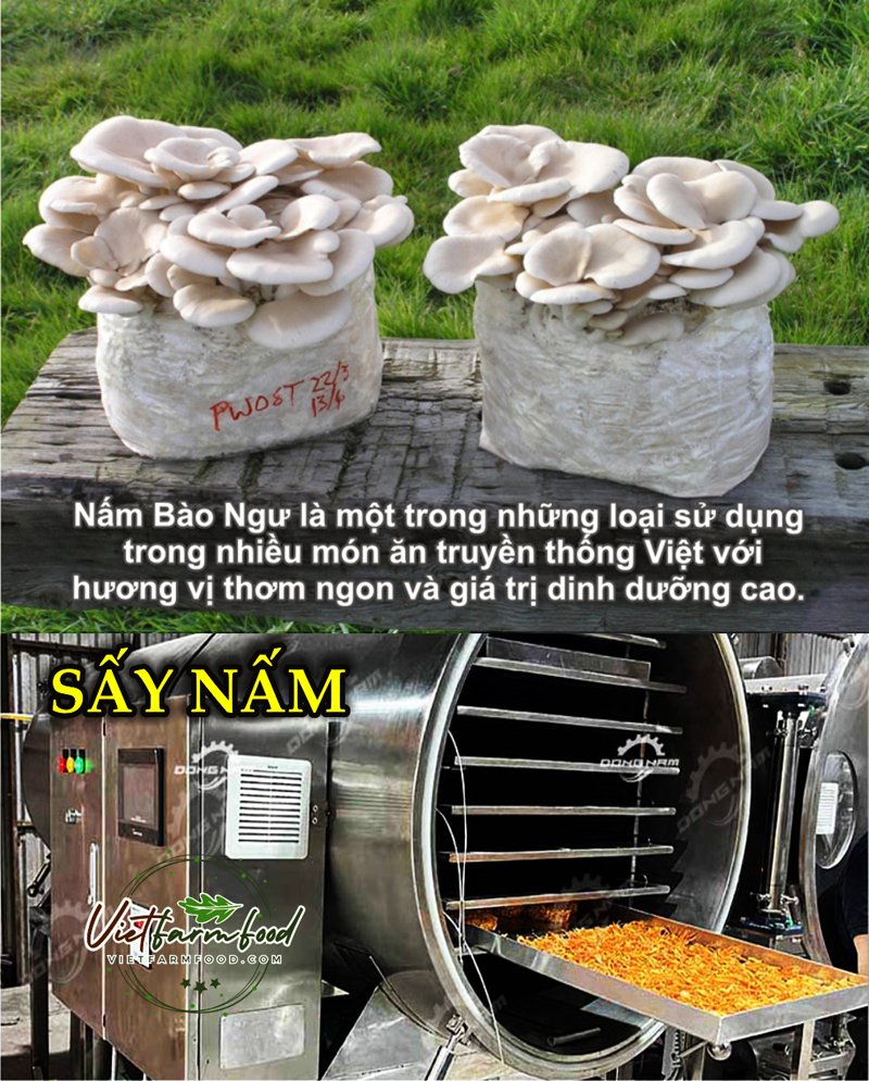 nam-bao-ngu-kho-093-8828-553