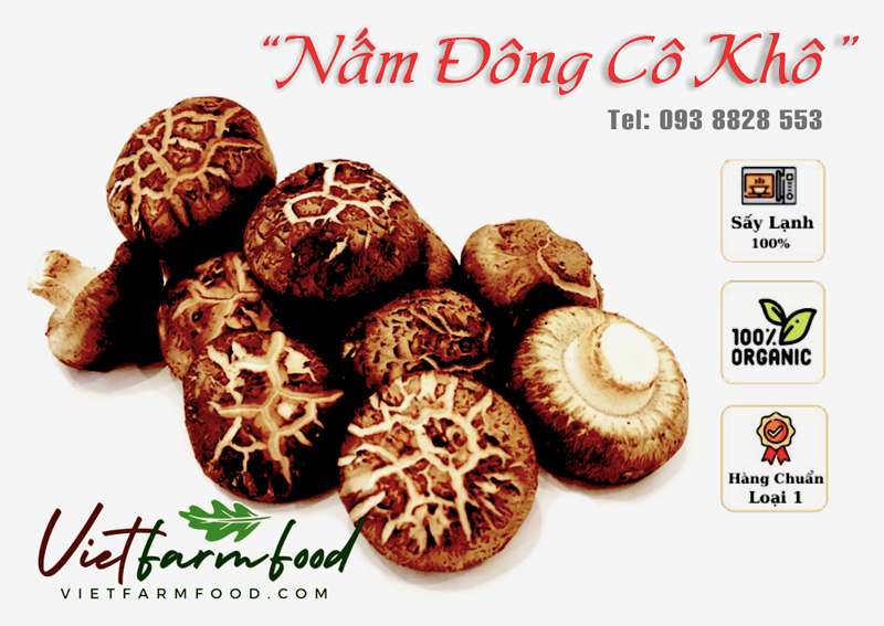 nam-dong-co-kho-093-8828-553