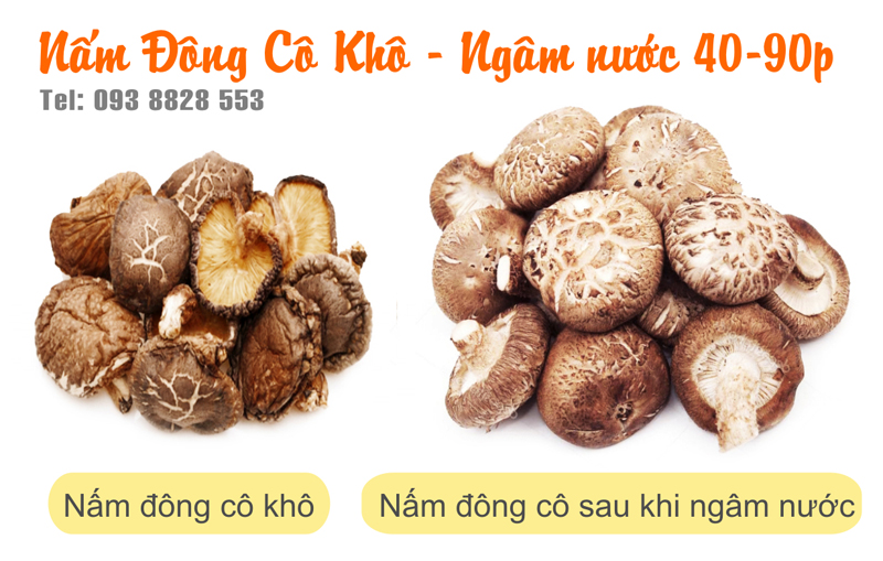 nam-huong-dong-co-kho-093-8828-553