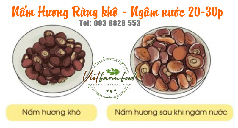 nam-huong-rung-kho-093-8828-553