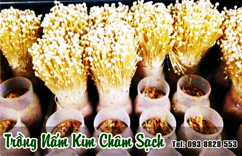 nam-kim-cham-kho-093-8828-553