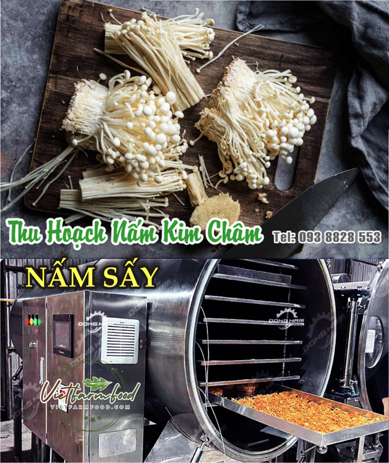 nam-kim-cham-kho-093-8828-553