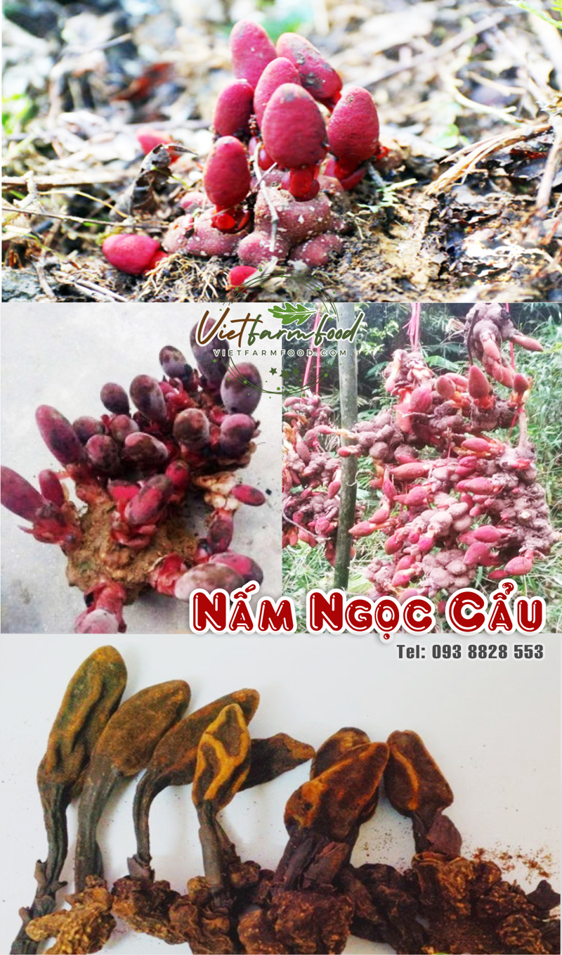 nam-ngoc-cau-kho-093-8828-553