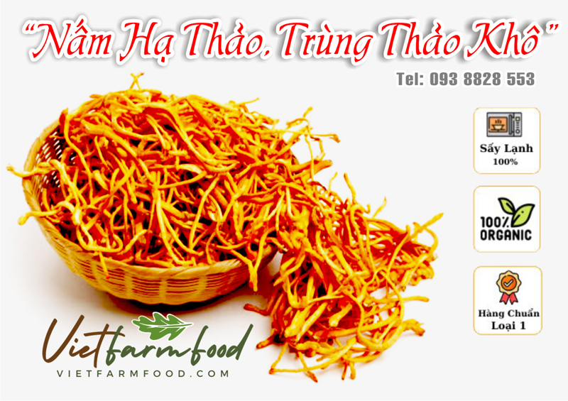 nam-trung-thao-ha-thao-kho-093-8828-553