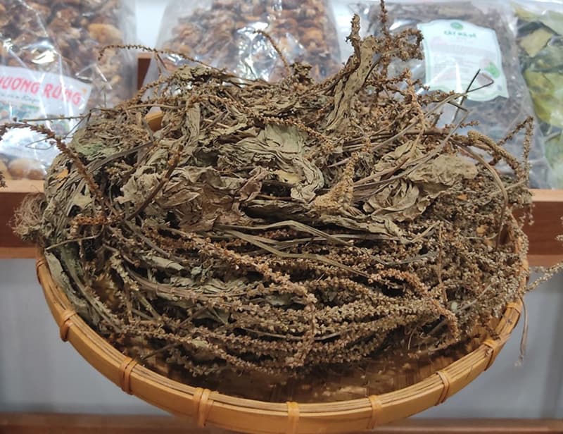 Tra-Cay-Ma-De-broadleaf-plantain-Plantago-major-tea-nong-san-cao-cap-viet-farm-food-093-8828-553