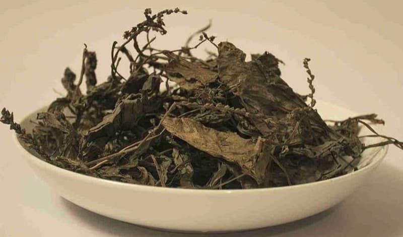 Tra-Cay-Ma-De-broadleaf-plantain-Plantago-major-tea-nong-san-cao-cap-viet-farm-food-093-8828-553