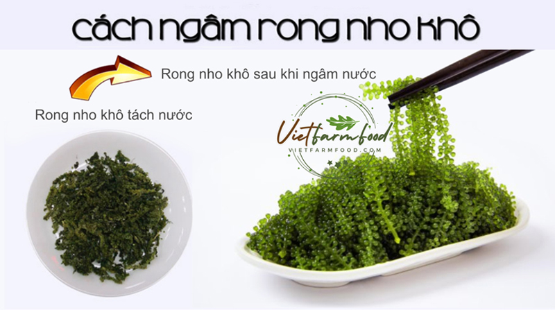 rong-tach-nuoc-say-kho-nha-trang-093-8828-553