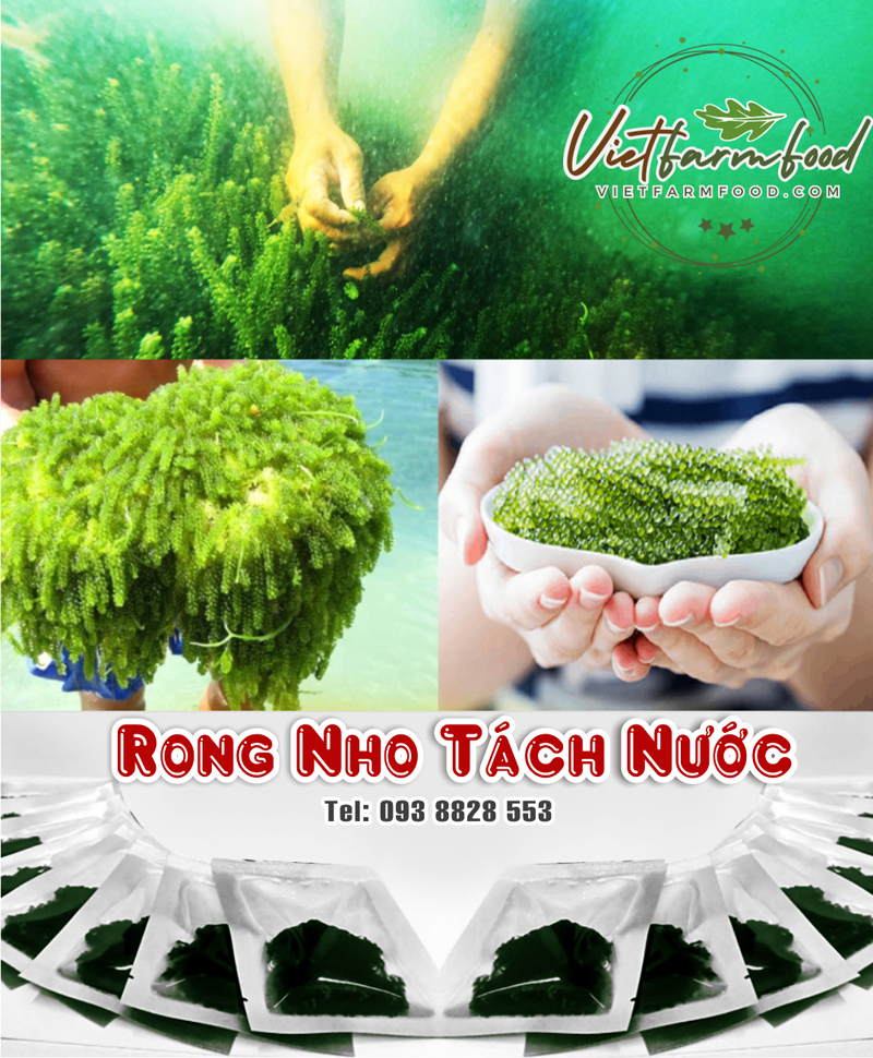 rong-tach-nuoc-say-kho-nha-trang-093-8828-553