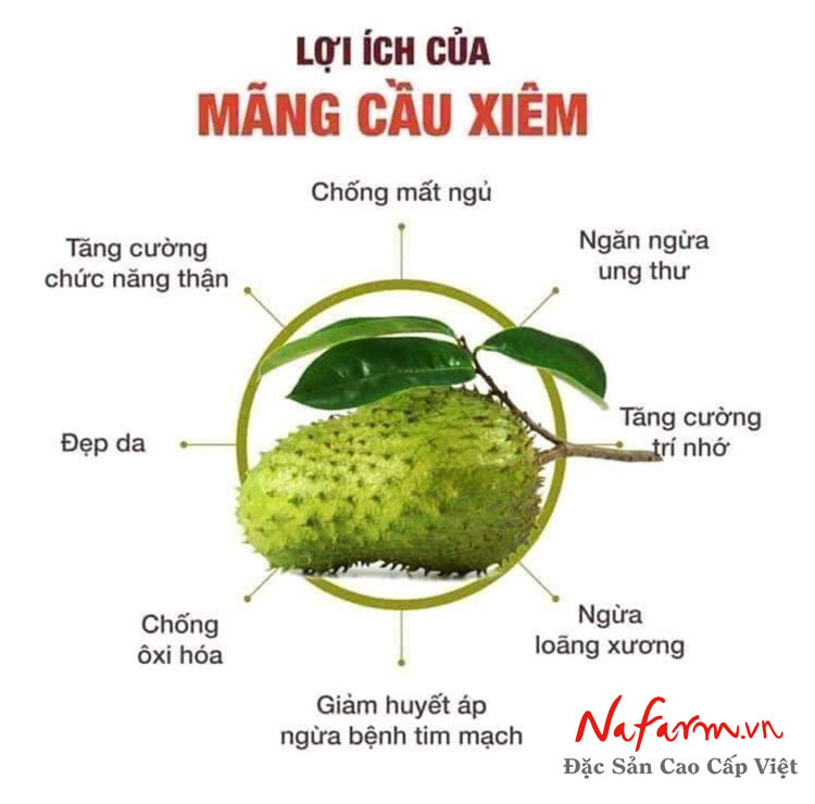 tra-mang-cau-xiem-say-kho