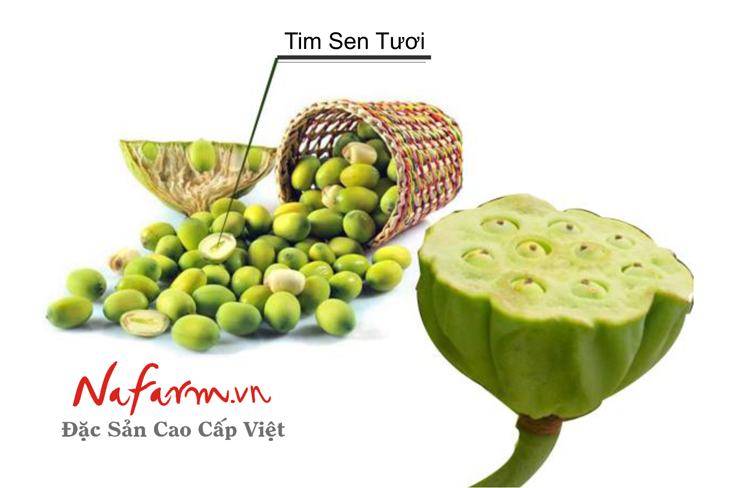 tra-tam-tim-sen-dac-san-cao-cap-viet-nafarm