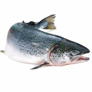 Cá Hồi Nguyên Sống (1kg)