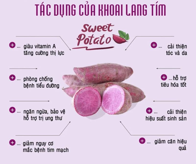 /bot-khoai-lang-tim-say-lanh-purple-potato-powder-nong-san-viet-farm-food-093-8828-553