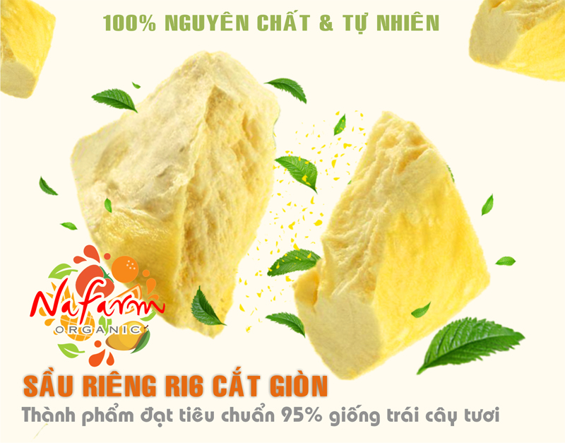 sau-rieng-ri6-gion-nguyen-mui-cat-say-thang-hoa-dac-san-nafarm-vn-093-8828-553