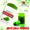 VEGETABLE Gotu kola powder superfood natutal Viet Farm Food Agricultural Products 84 0938838553 3