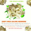 CRISPY DRIED ABALONE MUSHROOM FREEZE DRIED FRUIT Viet Farm Food Agricultural Products 84 0938838553 4