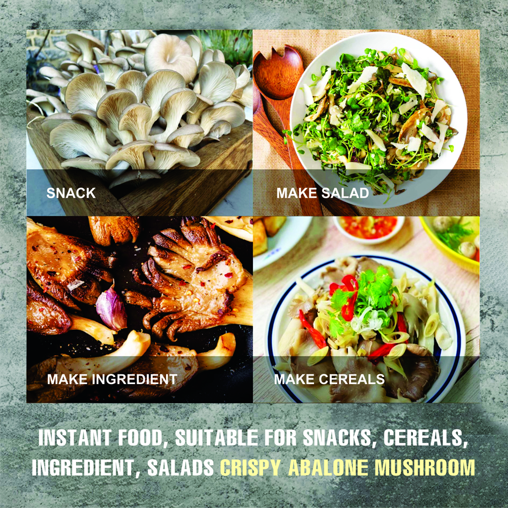CRISPY ABALONE MUSHROOM 1.76 oz (50g) VIETFARMFOOD: Freeze-dried, No Sugar Added, Naturally Sweet, Convenient Packaging, Many Nutrients Beneficial To Health, Suitable For Snacking Or As A Gift.