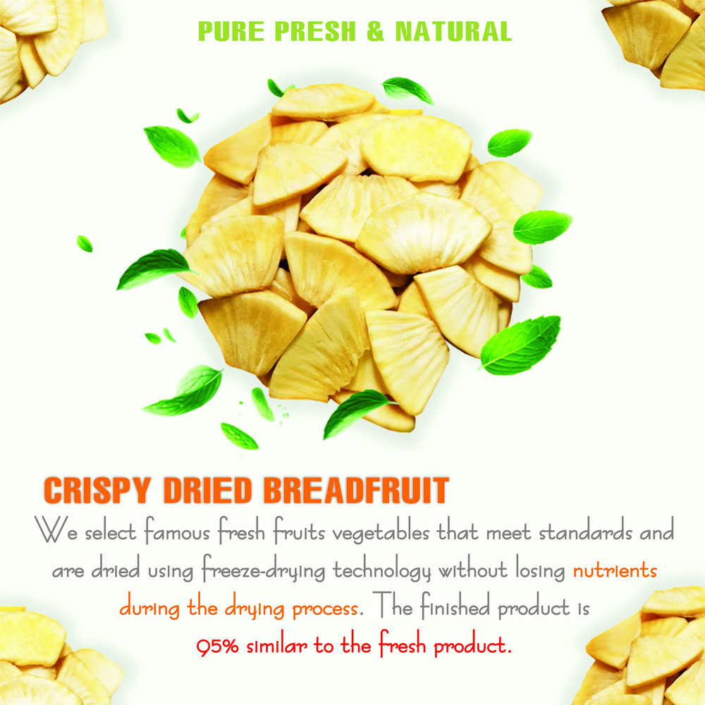 CRISPY DRIED BREADFRUIT 2.47 oz (70g) VIETFARMFOOD: Freeze-dried, No Sugar Added, Naturally Sweet, Convenient Packaging, Many Nutrients Beneficial To Health, Suitable For Snacking Or As A Gift.