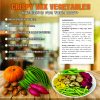 CRISPY DRIED MIX VEGETABLE FREEZE DRIED FRUIT Viet Farm Food Agricultural Products 84 0938838553 5