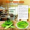 CRISPY DRIED OKRA FREEZE DRIED FRUIT Viet Farm Food Agricultural Products 84 0938838553 5