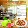 CRISPY DRIED PINK GUAVA 2.47 oz (70g) VIETFARMFOOD: Freeze-dried, No Sugar Added, Naturally Sweet, Convenient Packaging, Many Nutrients Beneficial To Health, Suitable For Snacking Or As A Gift. 6 CRISPY DRIED PINK GUAVA FREEZE DRIED FRUIT Viet Farm Food Agricultural Products 84 0938838553 5