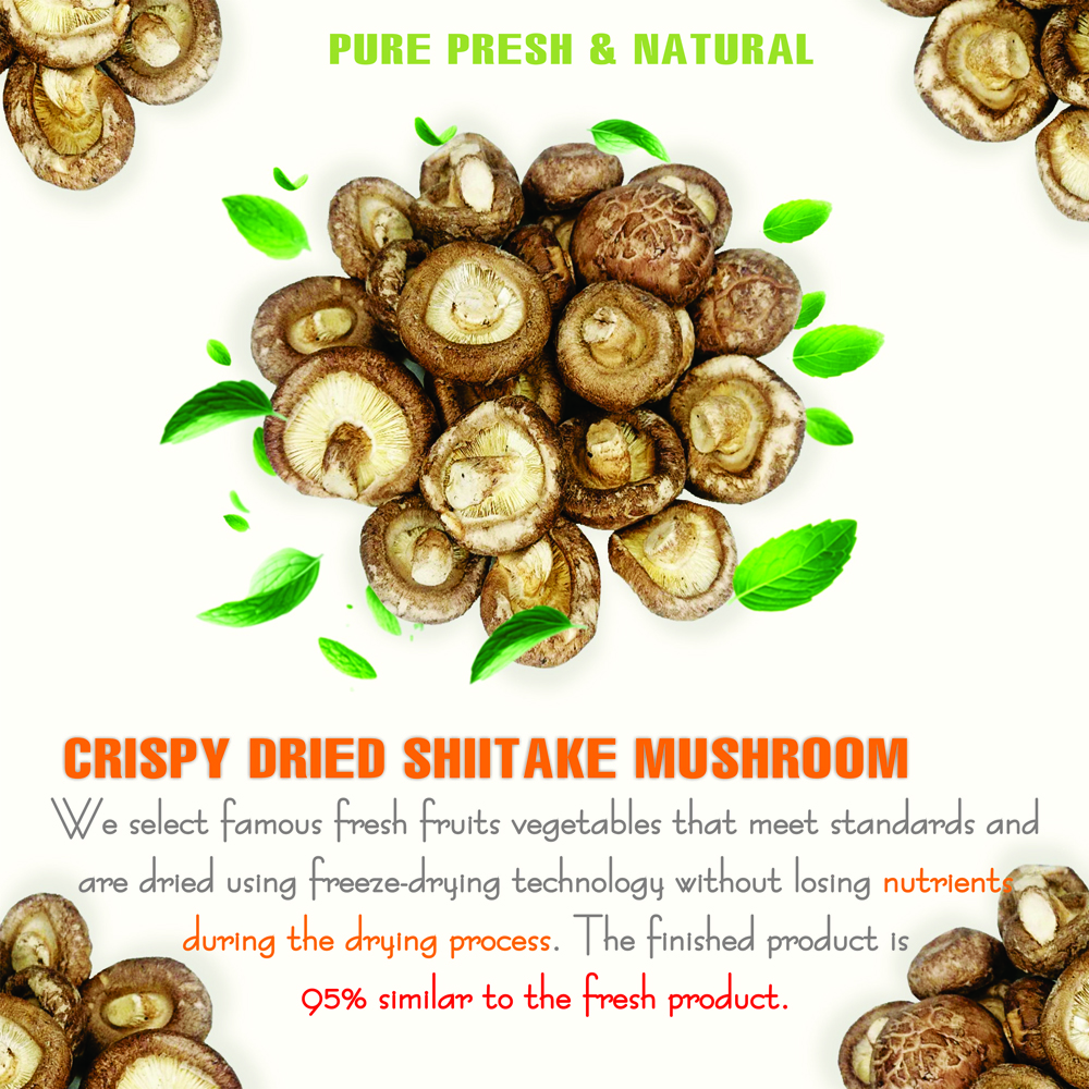 CRISPY SHIITAKE MUSHROOM 1.76 oz (50g) VIETFARMFOOD: Freeze-dried, No Sugar Added, Naturally Sweet, Convenient Packaging, Many Nutrients Beneficial To Health, Suitable For Snacking Or As A Gift.