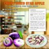 CRISPY DRIED STAR APPLE FREEZE DRIED FRUIT Viet Farm Food Agricultural Products 84 0938838553 5