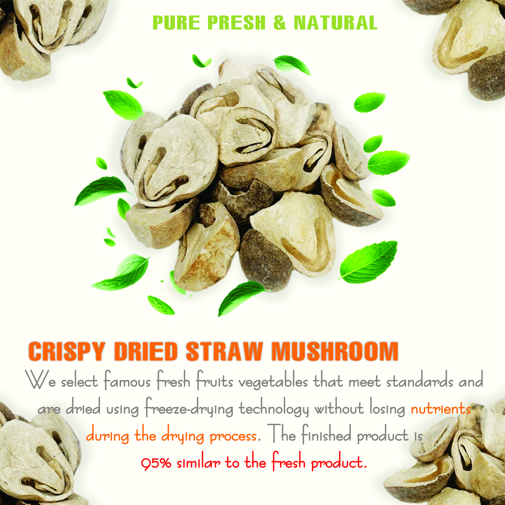 CRISPY STRAW MUSHROOM 1.76 oz (50g) VIETFARMFOOD: Freeze-dried, No Sugar Added, Naturally Sweet, Convenient Packaging, Many Nutrients Beneficial To Health, Suitable For Snacking Or As A Gift.