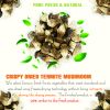 CRISPY TERMITE MUSHROOM 1.76 oz (50g) VIETFARMFOOD: Freeze-dried, No Sugar Added, Naturally Sweet, Convenient Packaging, Many Nutrients Beneficial To Health, Suitable For Snacking Or As A Gift. 5 CRISPY DRIED TERMITE MUSHROOM FREEZE DRIED FRUIT Viet Farm Food Agricultural Products 84 0938838553 4