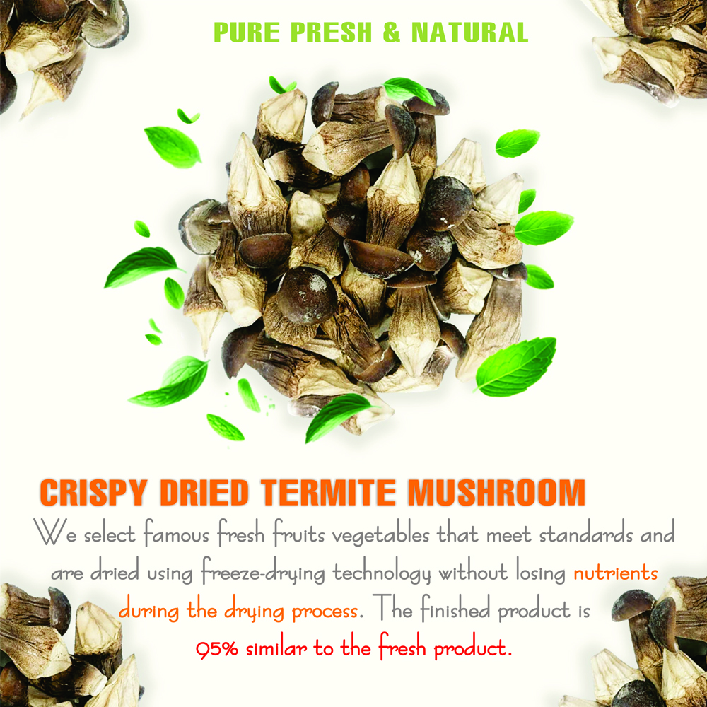 CRISPY TERMITE MUSHROOM 1.76 oz (50g) VIETFARMFOOD: Freeze-dried, No Sugar Added, Naturally Sweet, Convenient Packaging, Many Nutrients Beneficial To Health, Suitable For Snacking Or As A Gift.