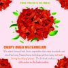 CRISPY DRIED WATERMELON FREEZE DRIED FRUIT Viet Farm Food Agricultural Products 84 0938838553 4