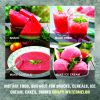 CRISPY DRIED WATERMELON FREEZE DRIED FRUIT Viet Farm Food Agricultural Products 84 0938838553 6