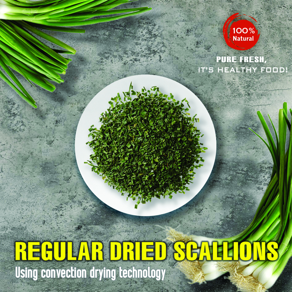 REGULAR DRIED SCALLIONS 5.29 Oz (150g) VIETFARMFOOD: Convection dried spices extract pure natural flavor. Convenient packaging, long-term preservation. Used for cooking, baking, salad, soup, sauce.