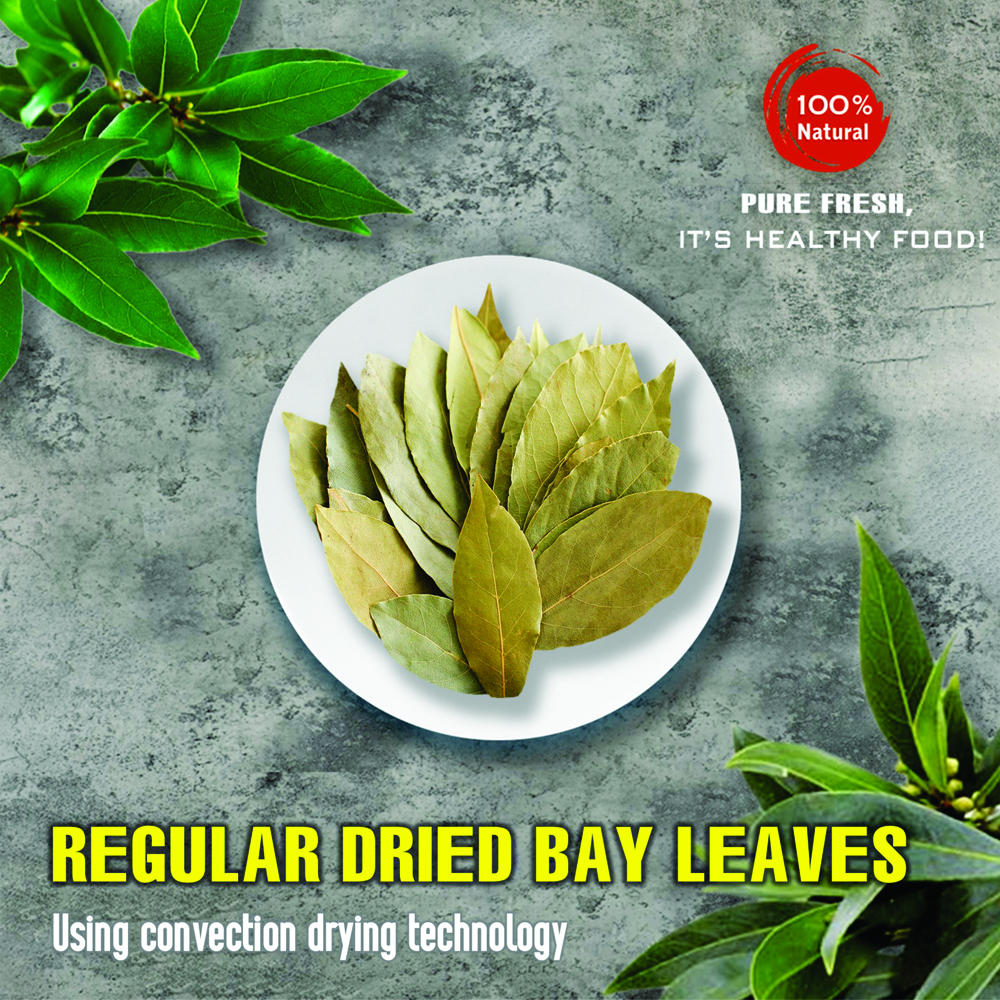REGULAR DRIED BAY LEAF 5.29 Oz (150g) VIETFARMFOOD: Convection dried spices extract pure natural flavor. Convenient packaging, long-term preservation. Used for cooking, baking, salad, soup, sauce.